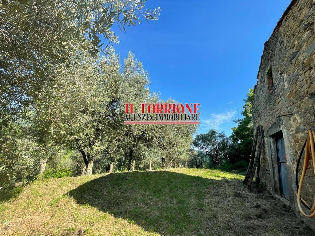Rustico / casale a Pescia in Via Carlo Goldoni - Foto 2