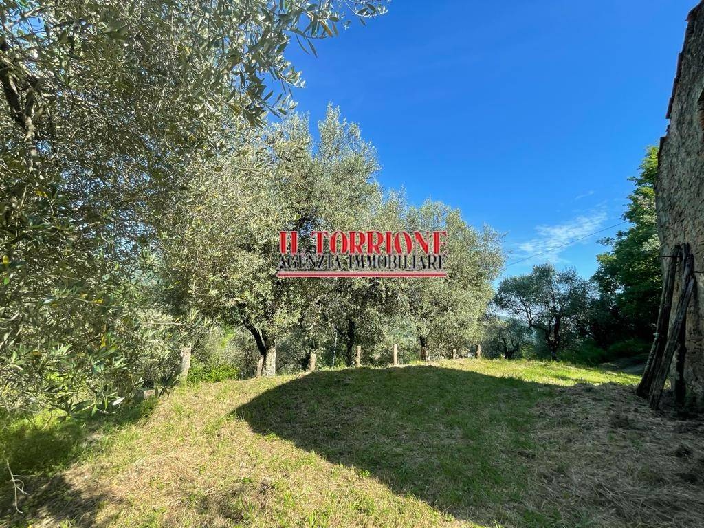 Rustico / casale a Pescia in Via Carlo Goldoni - Foto 3