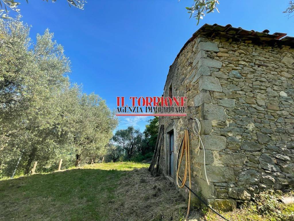 Rustico / casale a Pescia in Via Carlo Goldoni - Foto 5