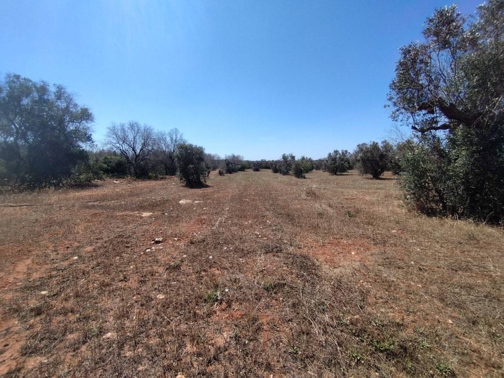 Terreno a Ugento in C.da Cristo, - Foto 3