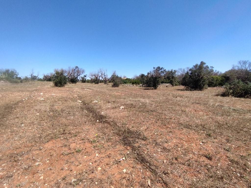 Terreno a Ugento in C.da Cristo, - Foto 4