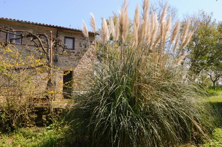 Rustico / casale a Suvereto in San Lorenzo - Foto 3