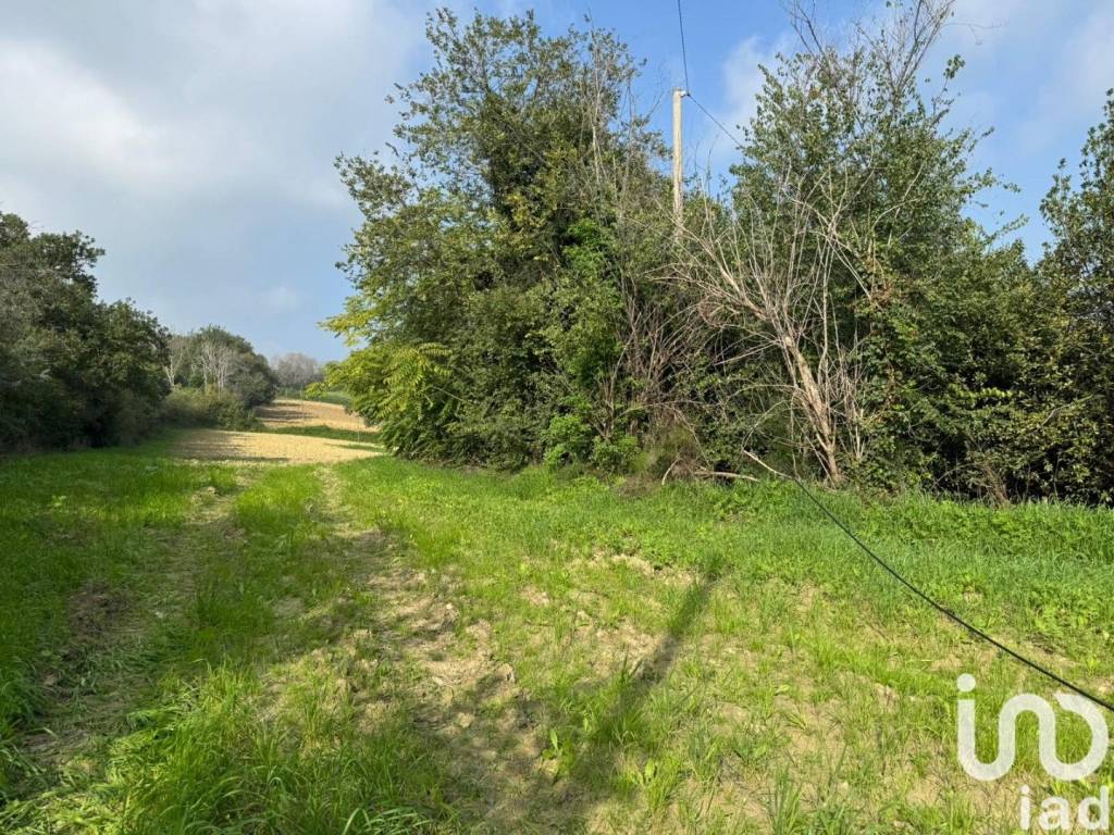 Rustico / casale a Agugliano in Via Contrada Frasca - Foto 2