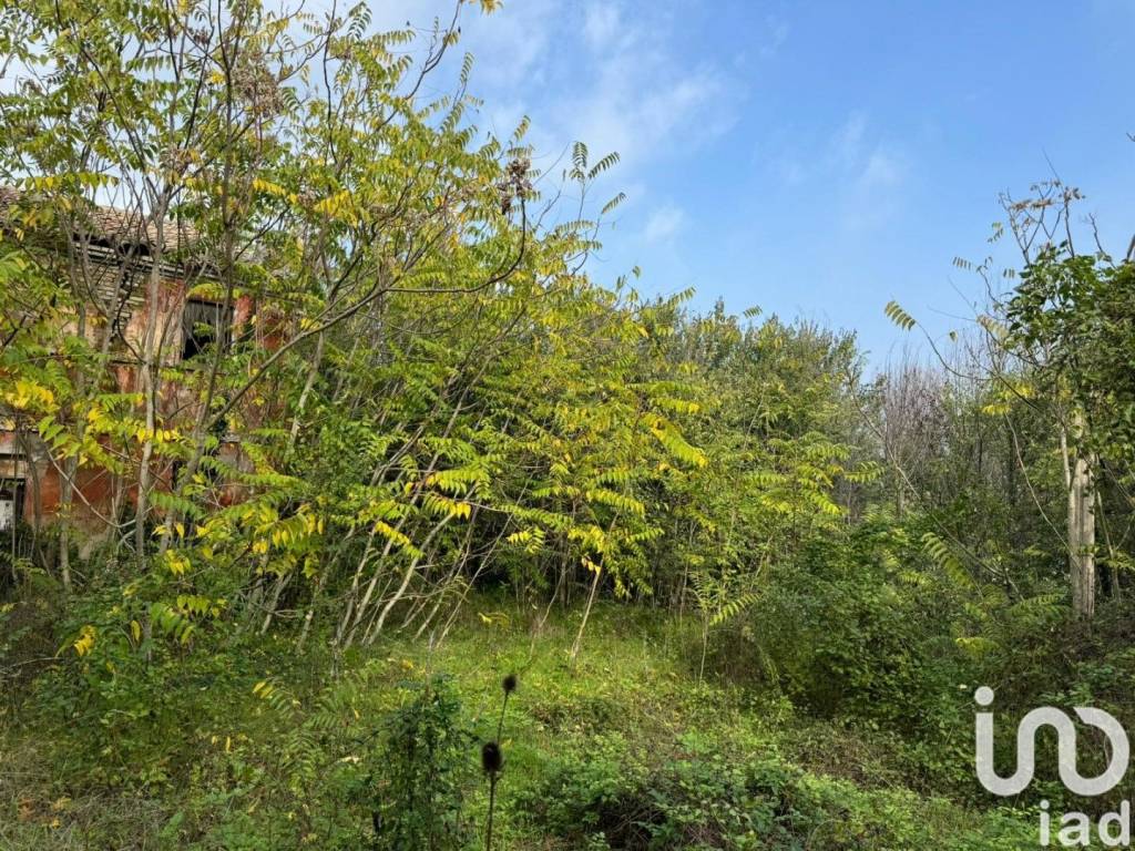 Rustico / casale a Agugliano in Via Contrada Frasca - Foto 3