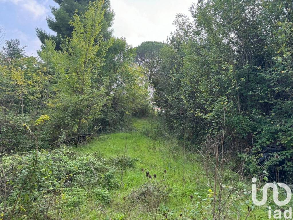 Rustico / casale a Agugliano in Via Contrada Frasca - Foto 4