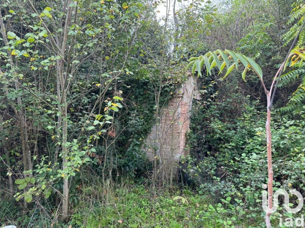 Rustico / casale a Agugliano in Via Contrada Frasca - Foto 5