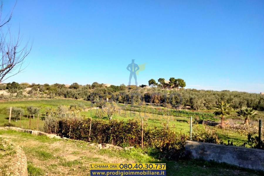 Terreno a Bisceglie - Foto 3