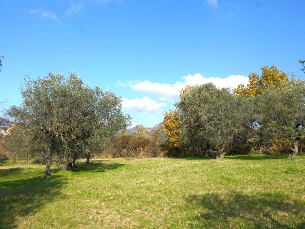 Terreno a Montecorvino rovella in Contrada Pezze - Foto 2