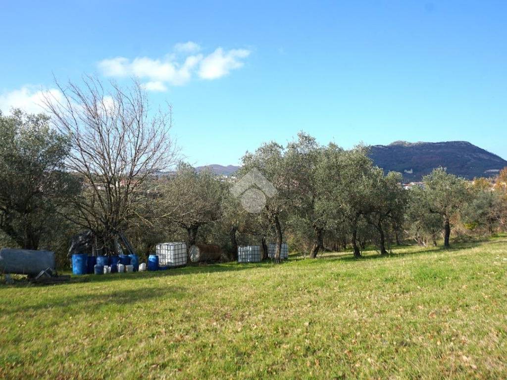 Terreno a Montecorvino rovella in Contrada Pezze - Foto 3