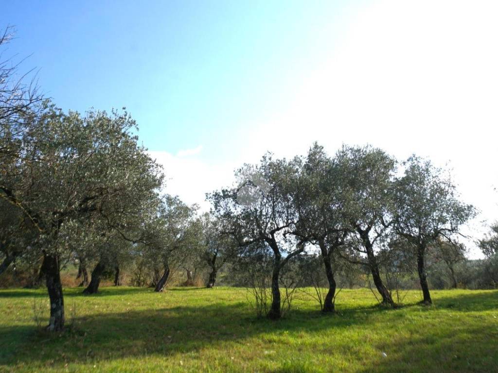 Terreno a Montecorvino rovella in Contrada Pezze - Foto 4
