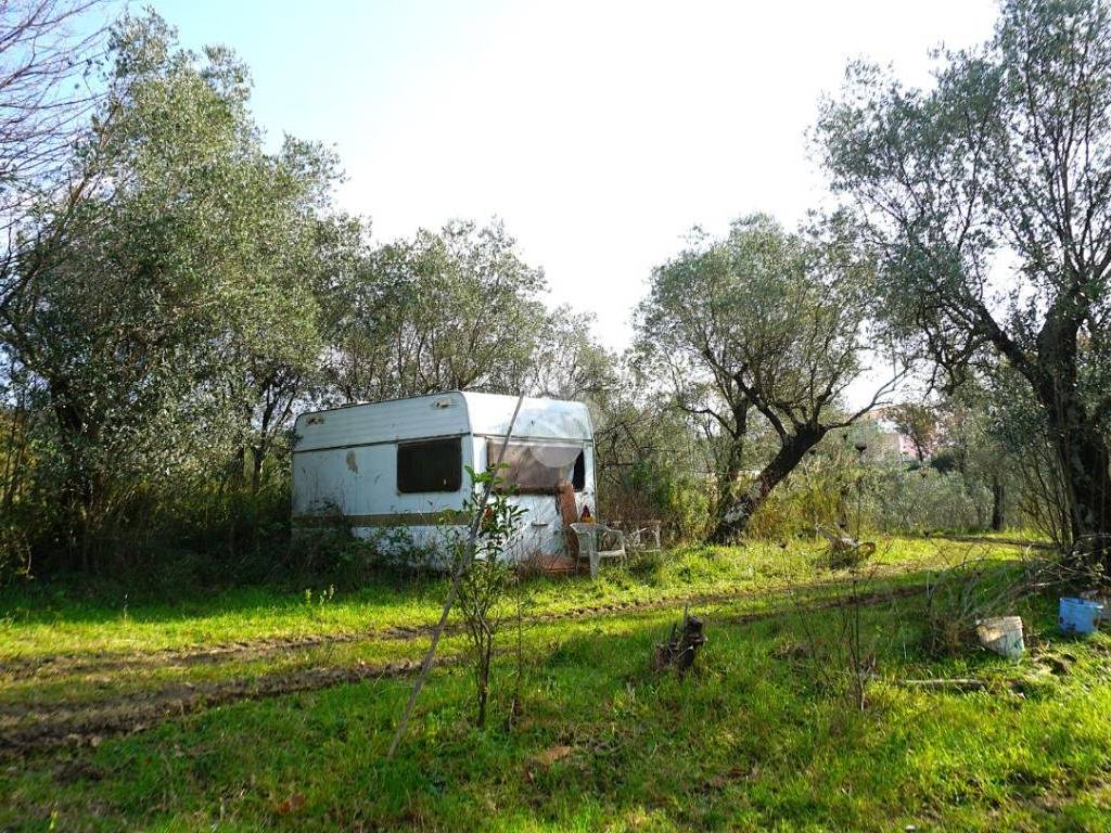 Terreno a Montecorvino rovella in Contrada Pezze - Foto 5