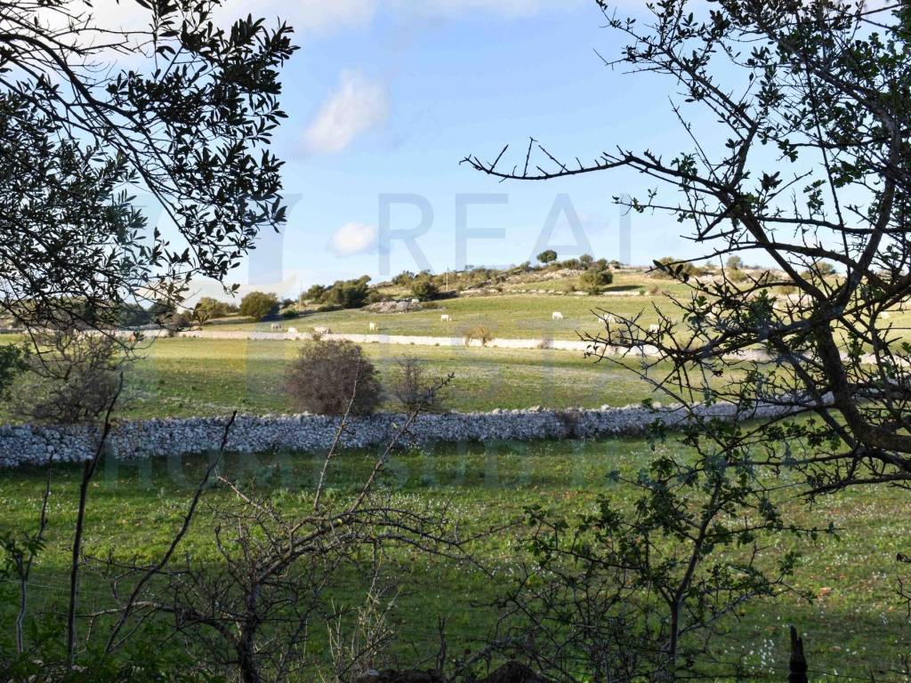 Rustico / casale a Noto in Via Tommaso Fazello, 228 - Foto 5