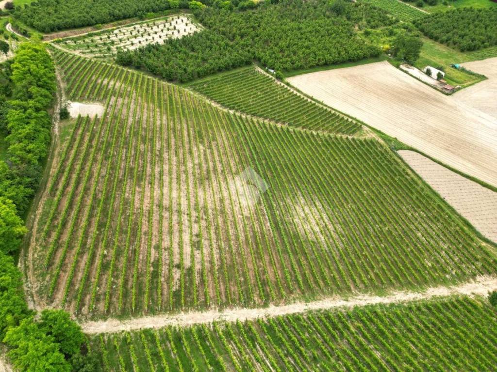 Terreno a Castagnole delle lanze in Zona Valle Tanaro - Foto 2