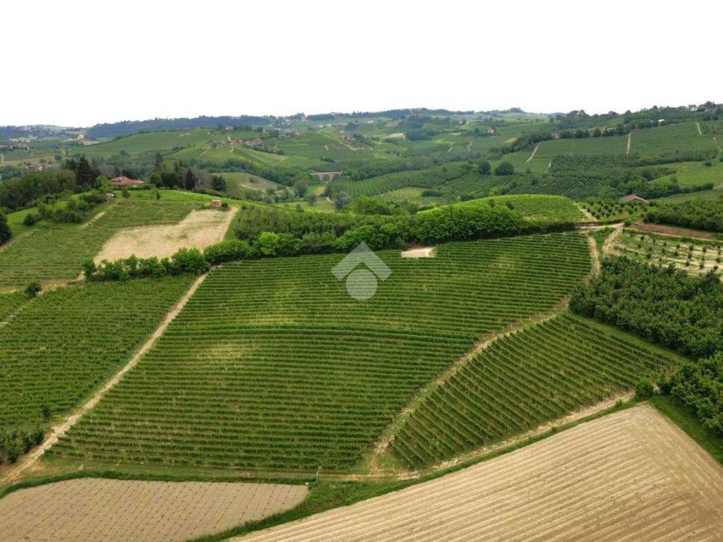 Terreno a Castagnole delle lanze in Zona Valle Tanaro - Foto 5