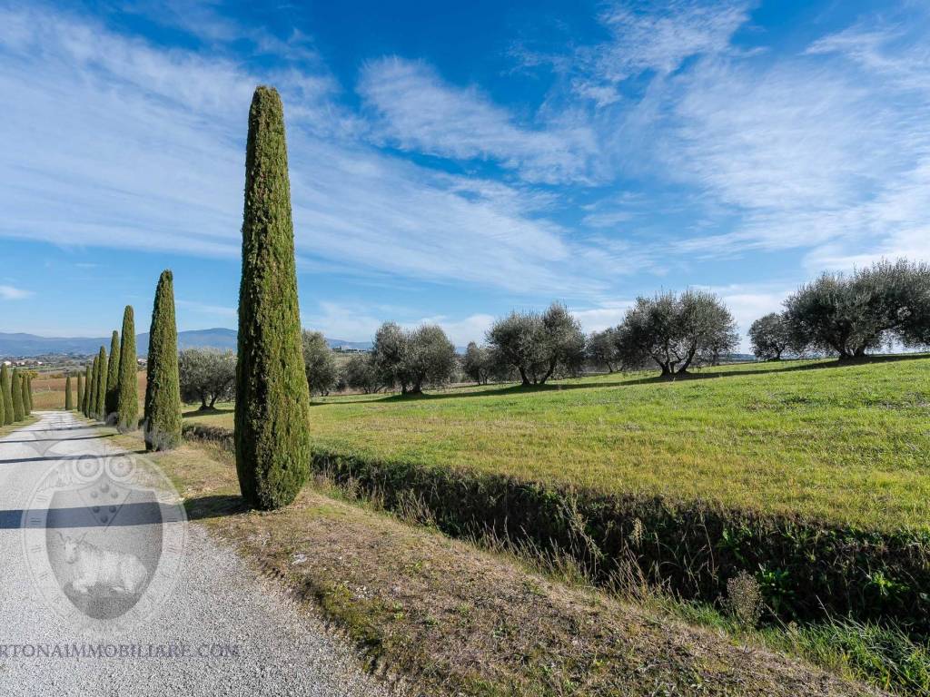 Appartamento a Cortona in Case Sparse Creti - Foto 3