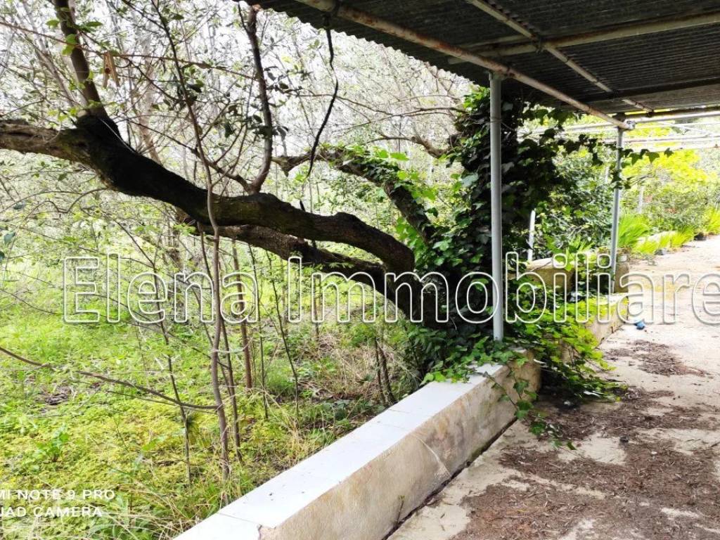 Casa indipendente a Valderice in Via Casalbianco - Foto 4