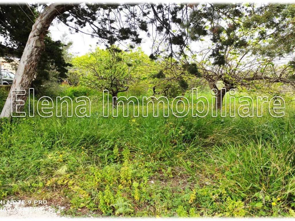 Casa indipendente a Valderice in Via Casalbianco - Foto 5