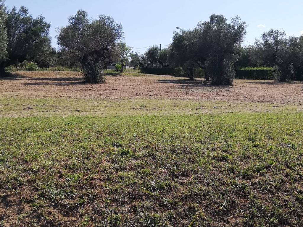 Terreno a Pianella in Contrada Astignano, 116 - Foto 2