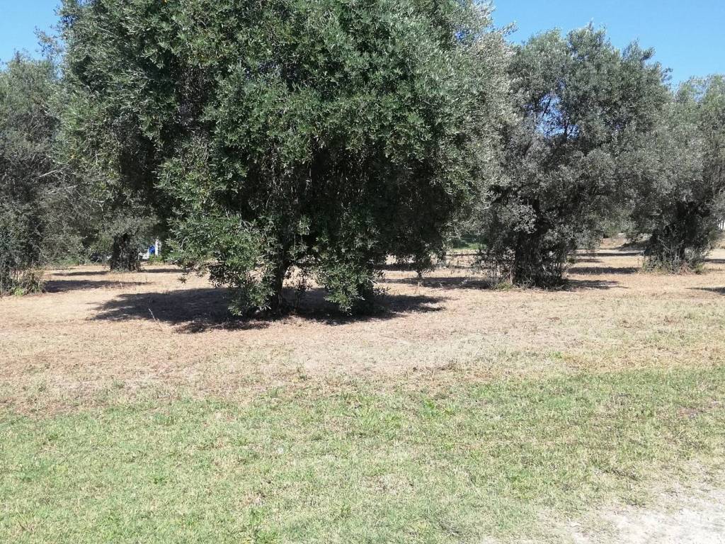 Terreno a Pianella in Contrada Astignano, 116 - Foto 3
