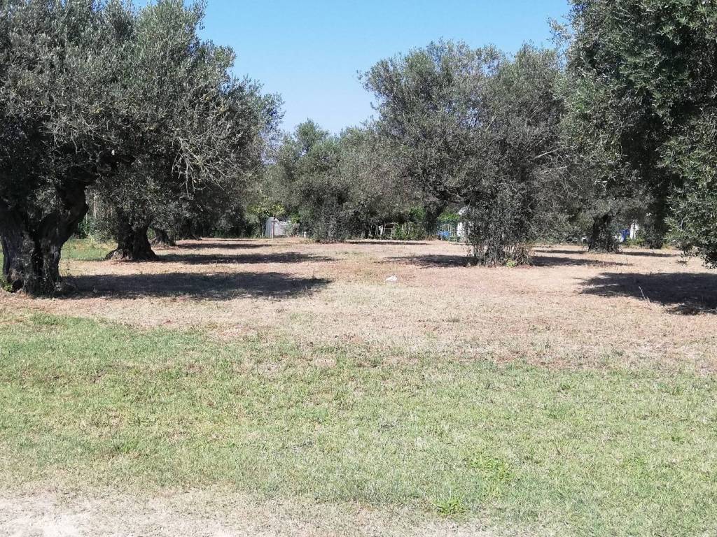Terreno a Pianella in Contrada Astignano, 116 - Foto 4