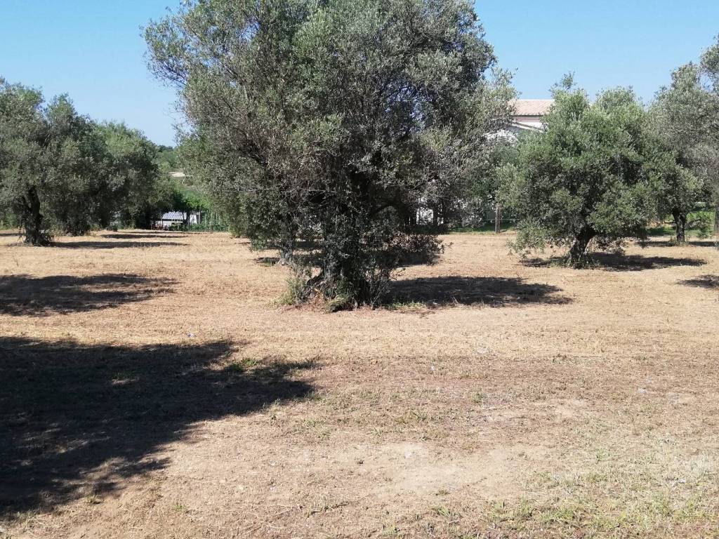 Terreno a Pianella in Contrada Astignano, 116 - Foto 5