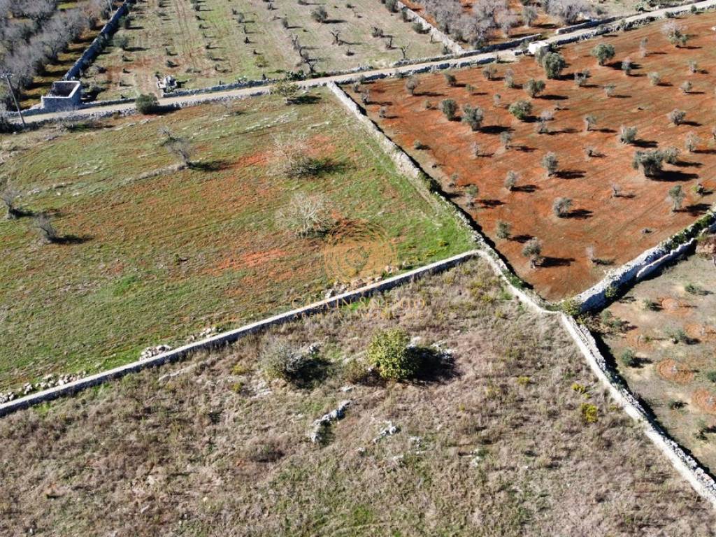 Terreno a Specchia in Strada Vicinale Cervi di Ruto - Foto 5