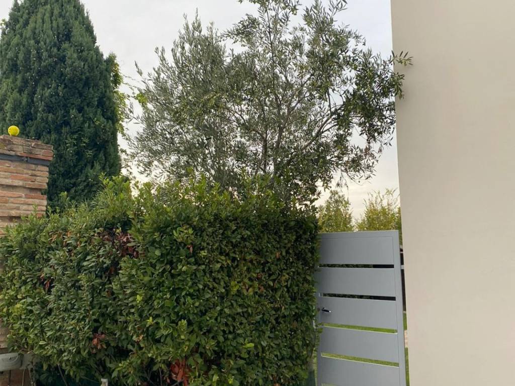 Appartamento a Castelvetro di modena in Via Sinistra Guerro - Foto 2