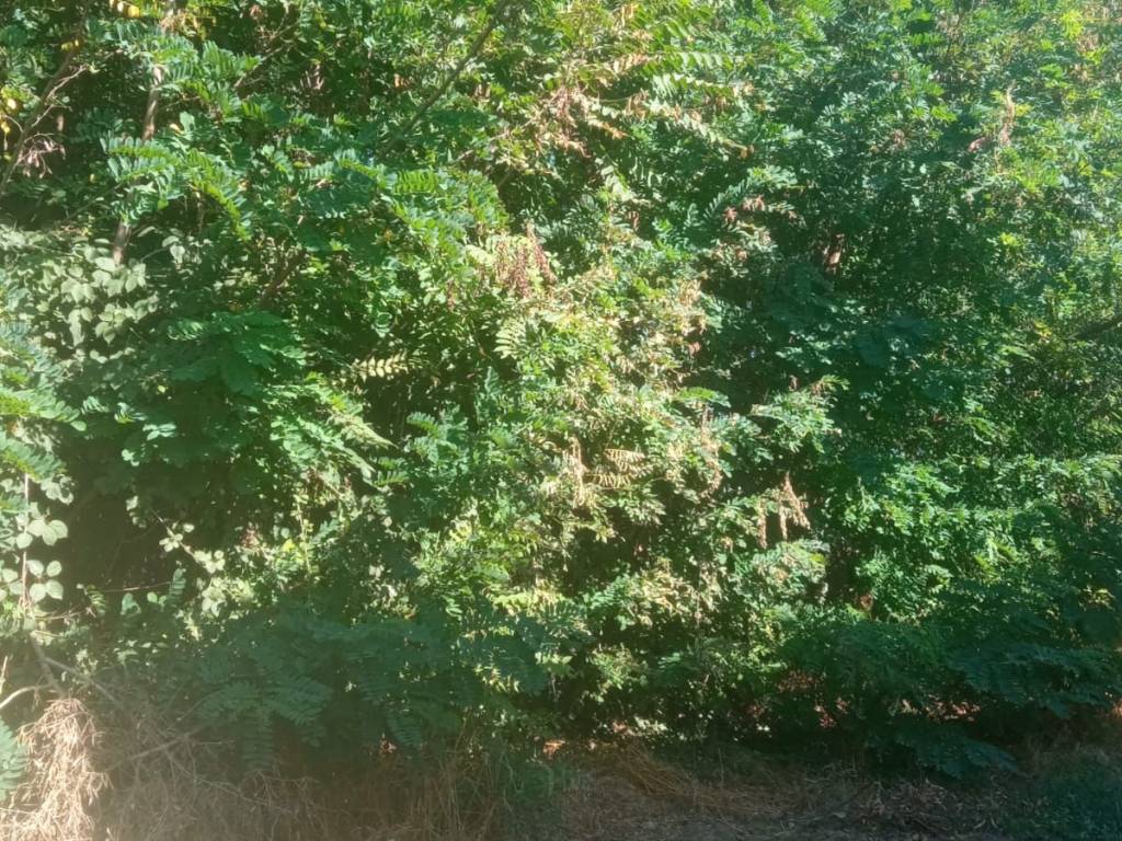 Palazzo / stabile a Teverola in Via Campanello, 7 - Foto 5