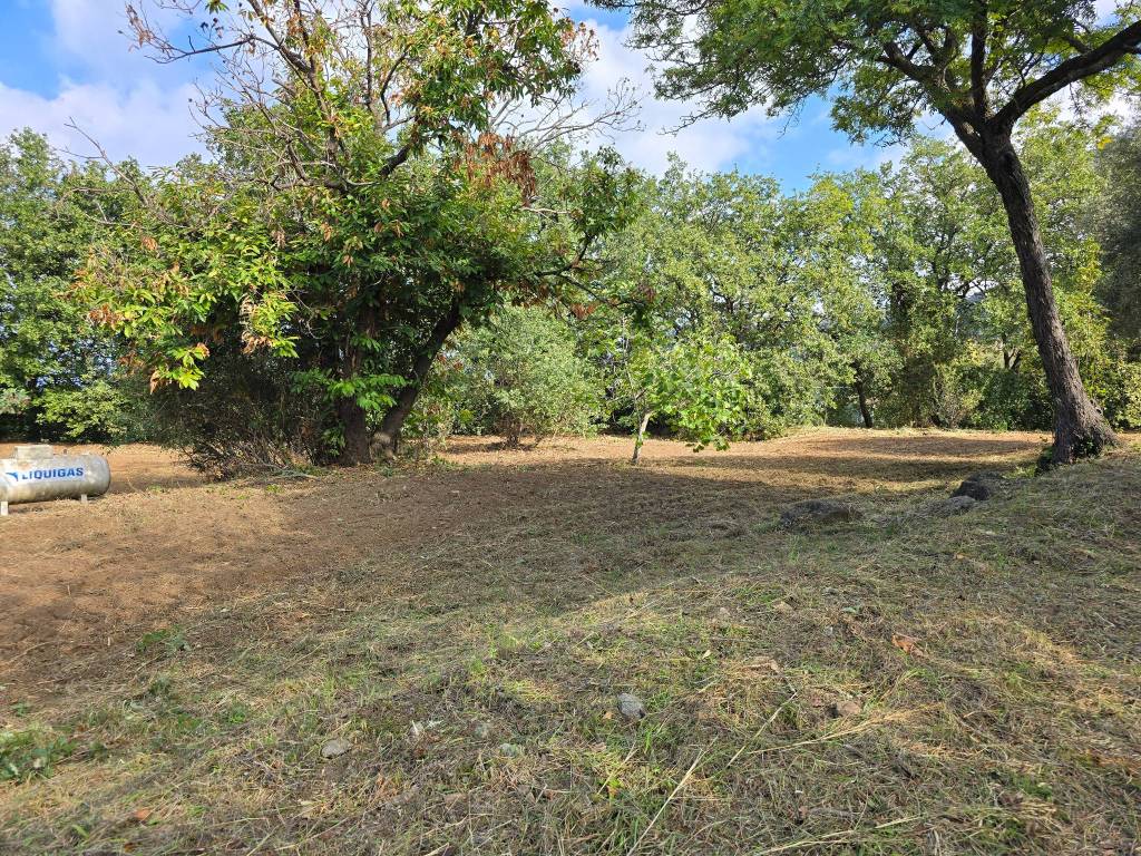 Villa a Vibo valentia in Via Nuova Strada Longobardi, 35 - Foto 5