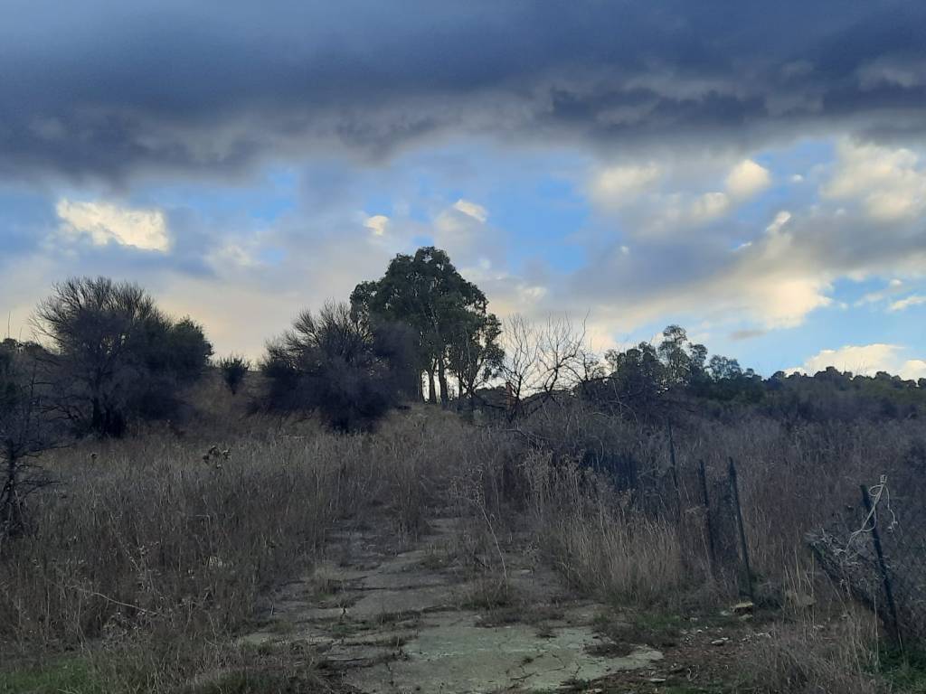 Terreno a Bolognetta in Sentiero San Nicola - Foto 2