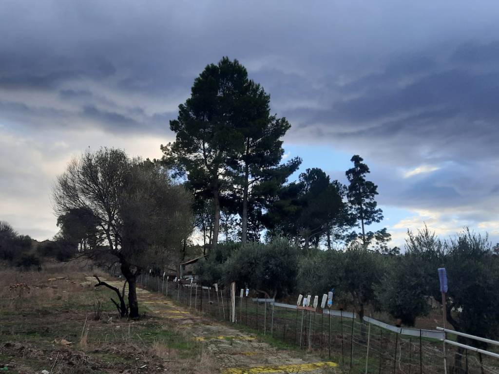 Terreno a Bolognetta in Sentiero San Nicola - Foto 5