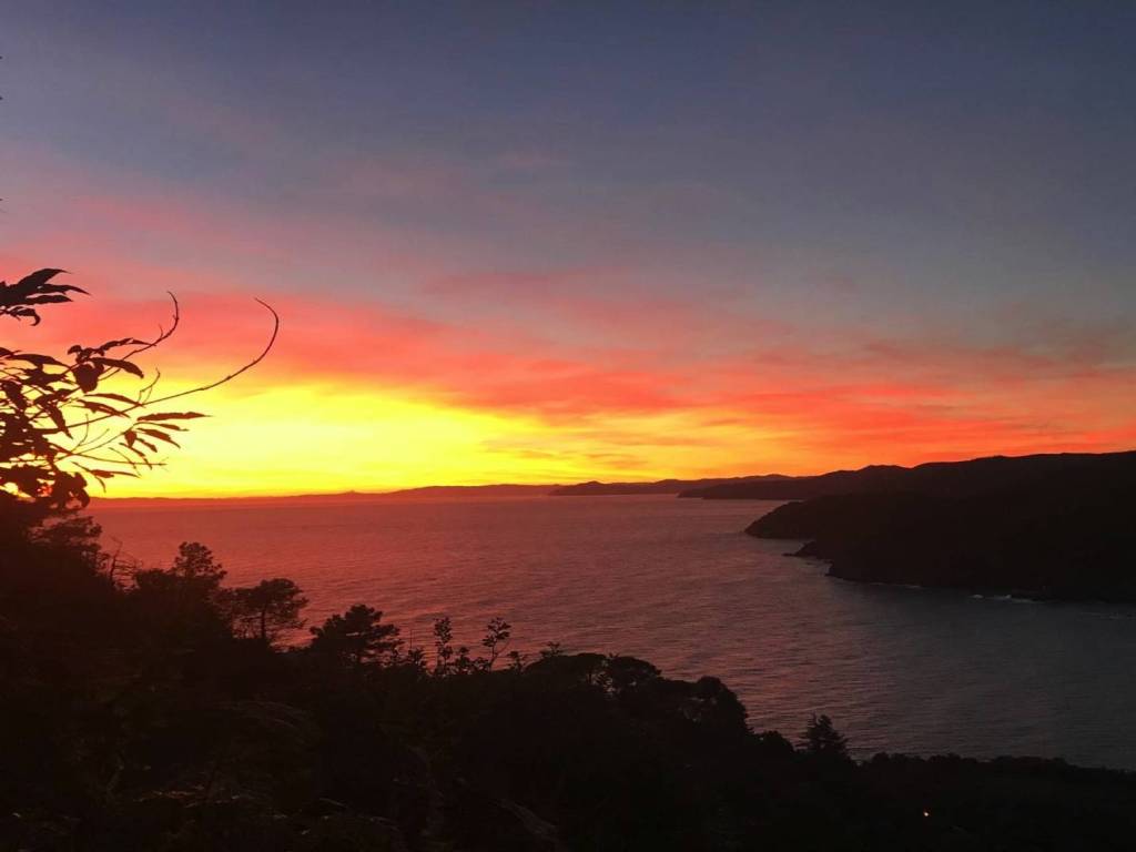 Appartamento a Levanto in Località Mesco - Foto 4