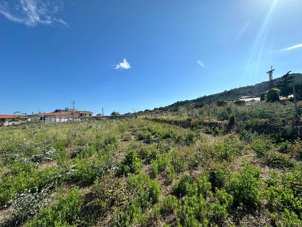 Terreno a Taggia in Via Beglini, 139 - Foto 3