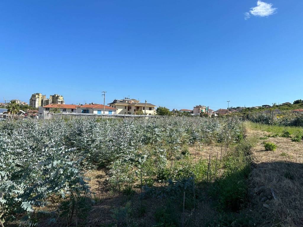 Terreno a Taggia in Via Beglini, 139 - Foto 4