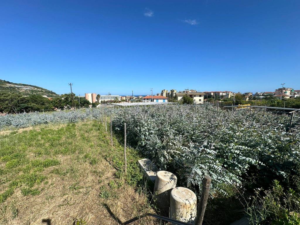 Terreno a Taggia in Via Beglini, 139 - Foto 5