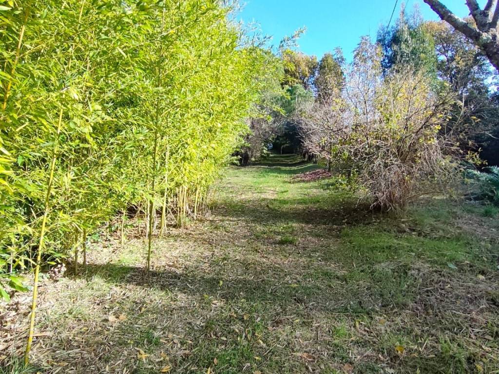 Terreno a Castiglion fiorentino - Foto 4