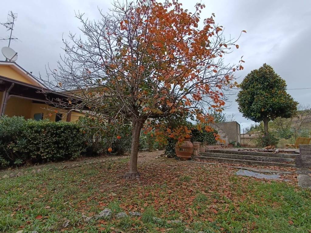 Casa indipendente a Acquaviva picena in roma - Foto 3