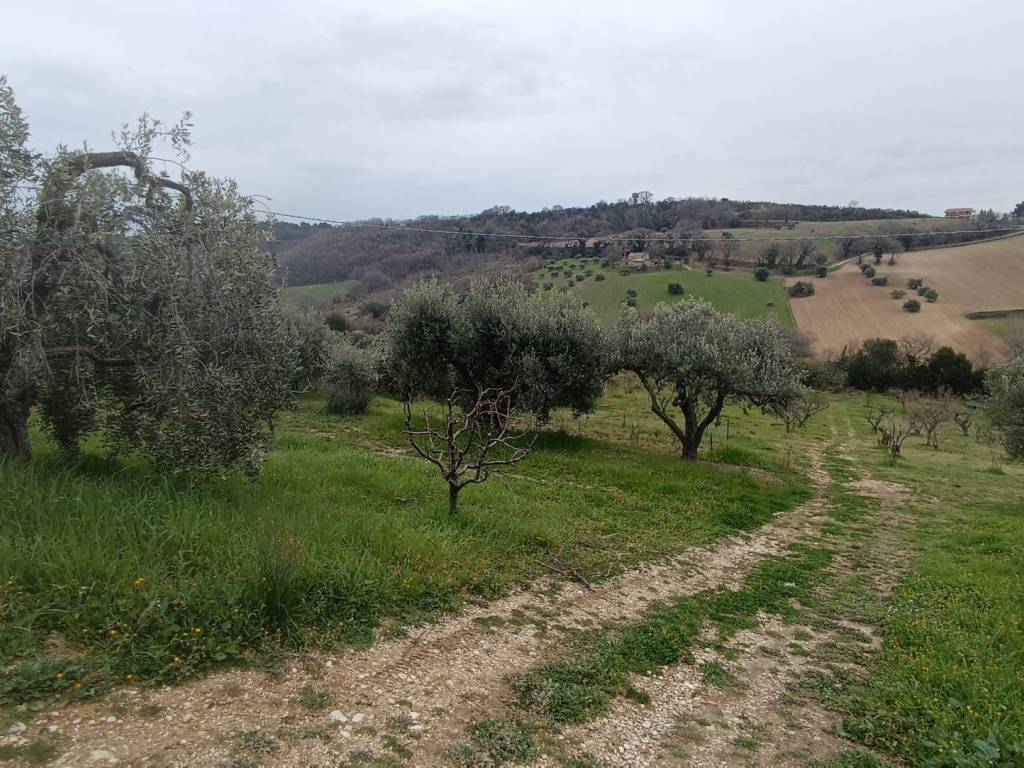 Terreno a Altidona in Via Barbolano - Foto 5