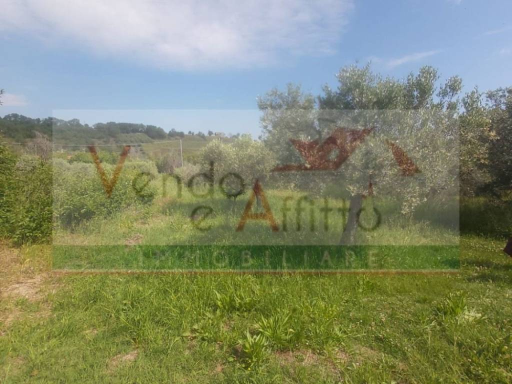 Terreno a Cupello in Strada Provinciale Ex SS86 Istonia Traversa di Vasto - Foto 2