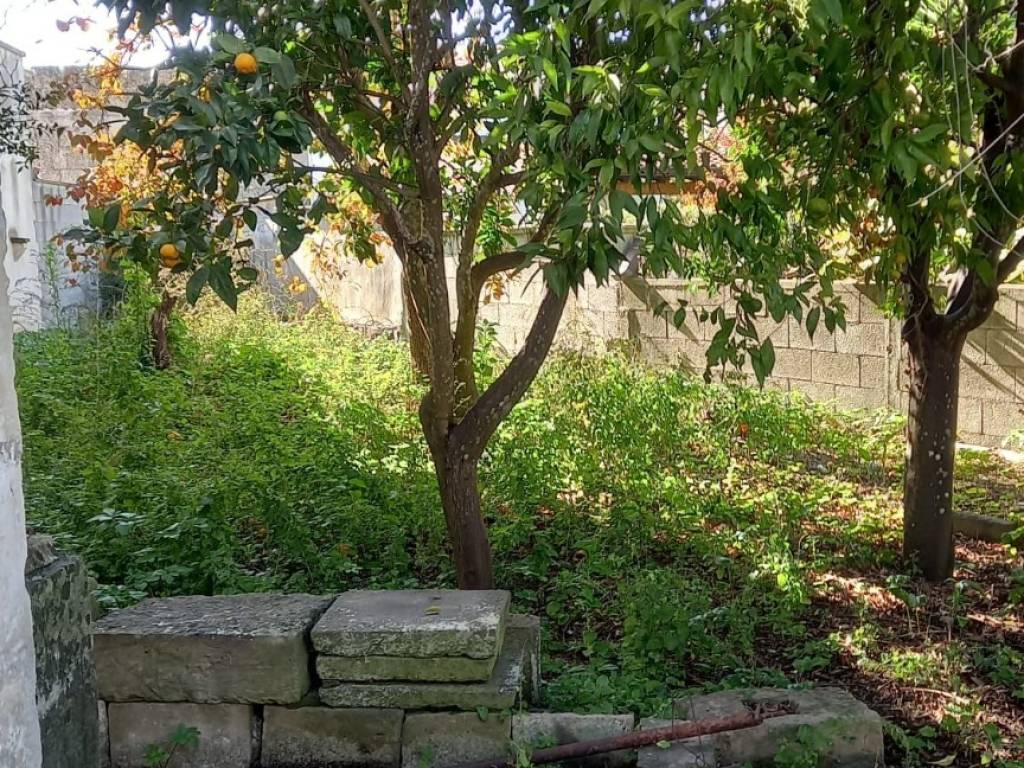 Casa indipendente a Bagnolo del salento in Via Roma , 20 - Foto 4
