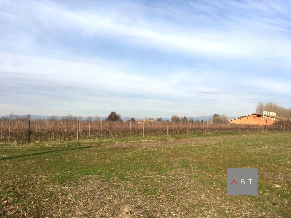 Terreno a Villa del conte - Foto 2