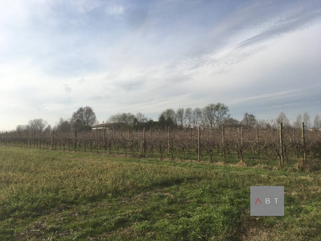 Terreno a Villa del conte - Foto 4