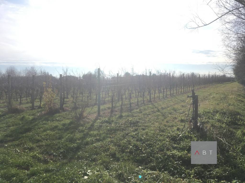 Terreno a Villa del conte - Foto 5