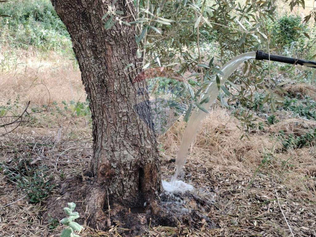Terreno a Chiaramonte gulfi in c/da Piraino - Foto 2