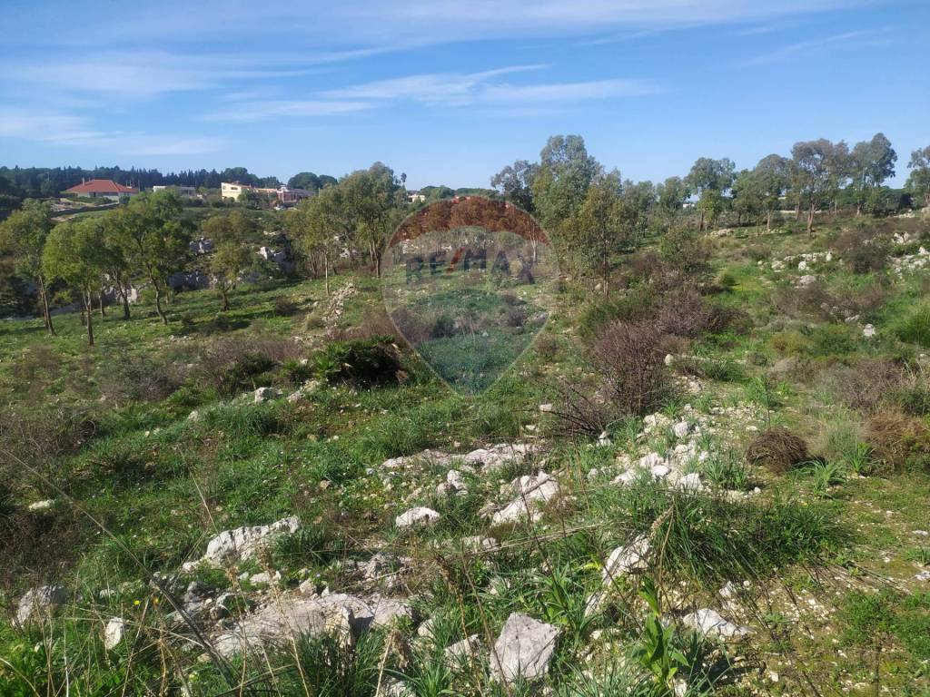 Terreno a Avola - Foto 3