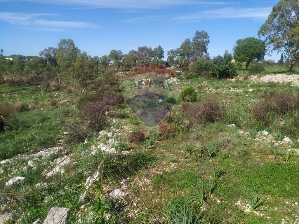 Terreno a Avola - Foto 4