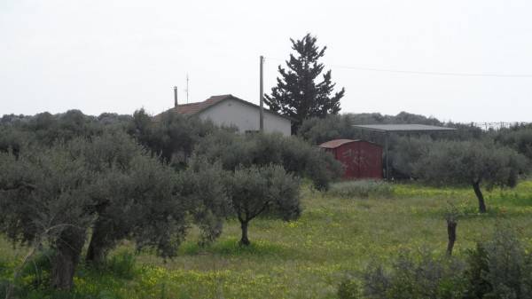 Terreno a Menfi in Strada Statale 115 - Foto 5