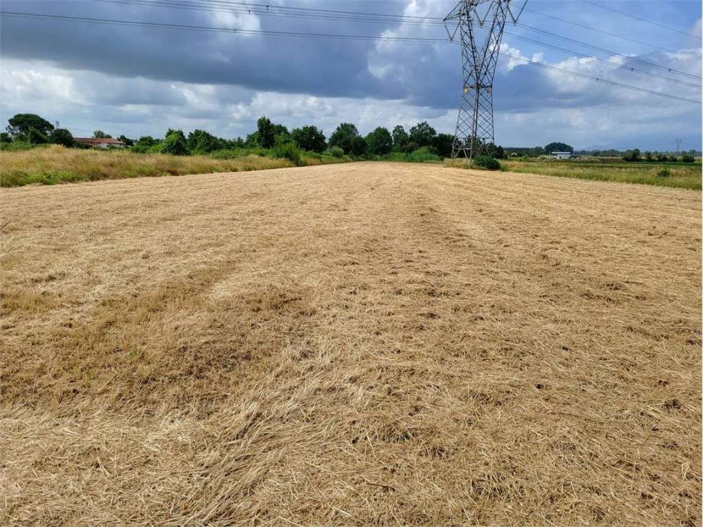 Terreno a Monsummano terme in via frasso - Foto 2