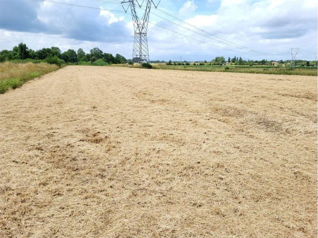 Terreno a Monsummano terme in via frasso - Foto 3
