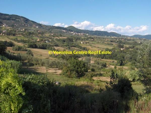 Rustico / casale a Capannori in Via dei Maionchi , 22 - Foto 3